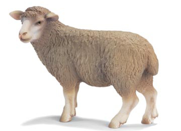 Schleich Schaf, stehend 13283