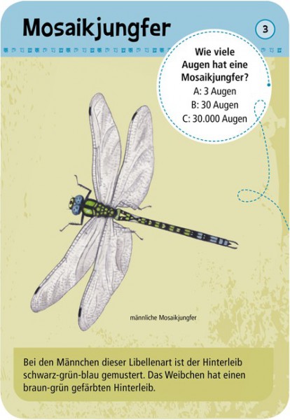 moses Verlag Expedition Natur - 50 heimische Insekten & Spinnen 9723
