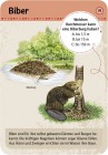 moses Verlag Expedition Natur - 50 Tierspuren 9724