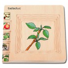 Beleduc Lagen - Puzzle Apfel 17039