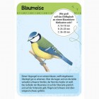 moses Verlag 9715 Expedition Natur - 50 heimische Vögel