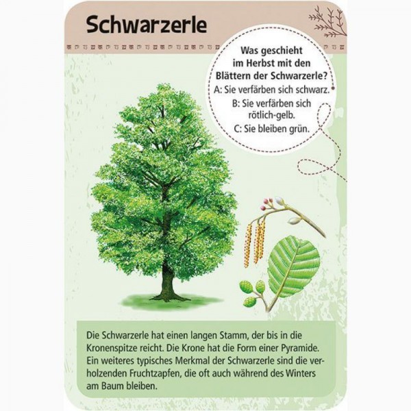moses Verlag 9716 Expedition Natur - 50 heimische Bäume
