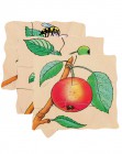 Beleduc Lagen - Puzzle Apfel 17039